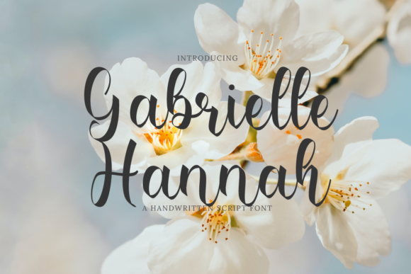 Gabrielle Hannah Script Font for Elegant Handmade Products